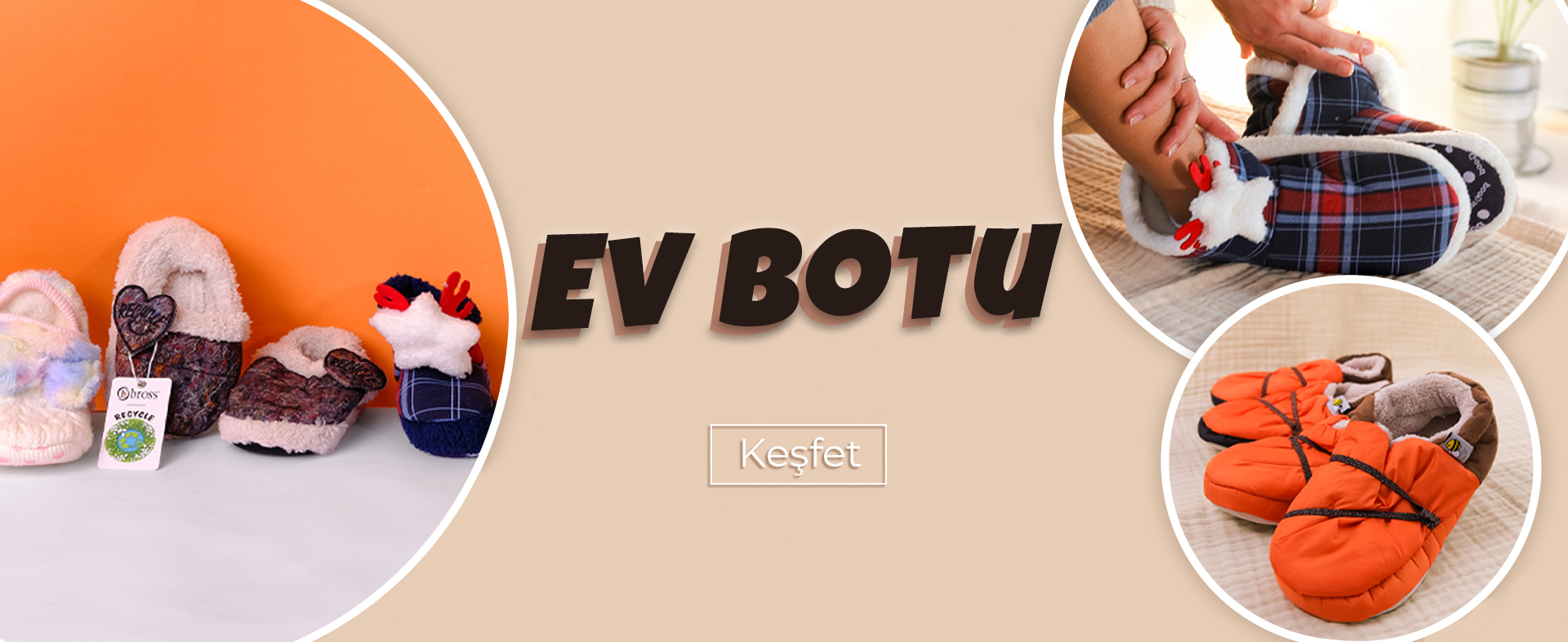 EV BOTU